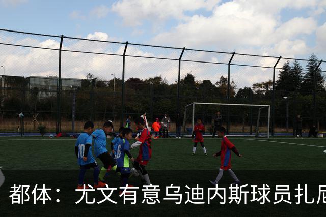 都体：尤文有意乌迪内斯球员扎尼奥洛，想把卡巴尔阿季奇加入谈判
